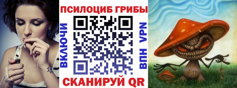 Псилоцибиновые грибы Psilocybine cubensis  цены   Теберда 